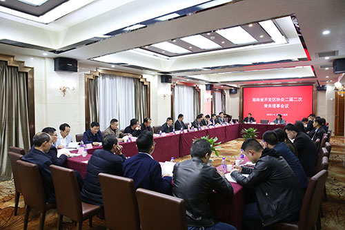 常务理事会议现场.jpg