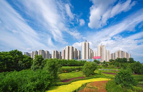 QQ截图20200113165220.jpg