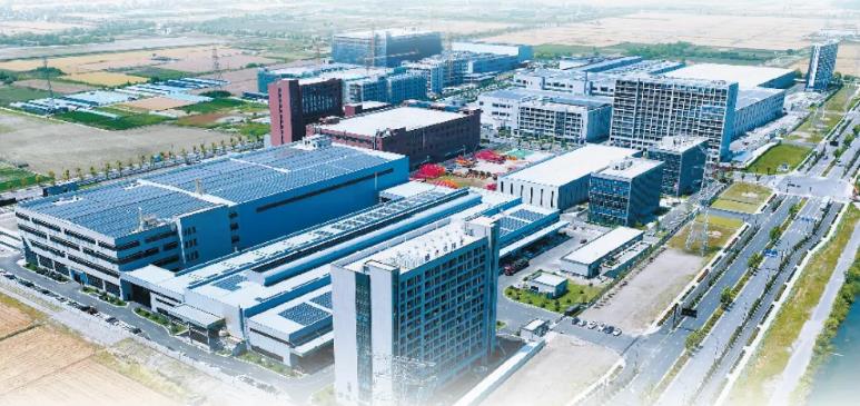 1725265355110746.jpg 2024 09 02.jpg